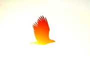 DSC0365v2