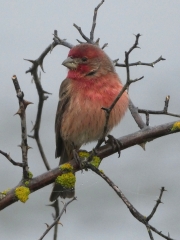 P1030660-another-copy