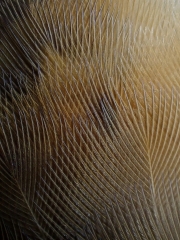 P8260374