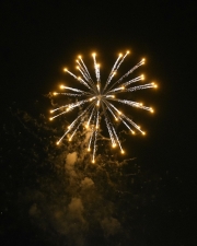 DSC1581
