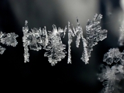 Ice-crystals-on-a-thread-of-silk