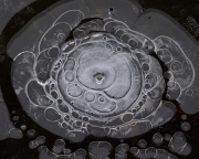 Large-methane-bubble-formation