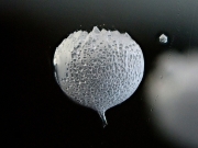 Microscopic-methan-bubble