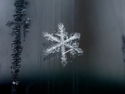 Snowflake-and-frost