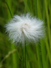 P1090561