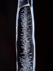 P3190421