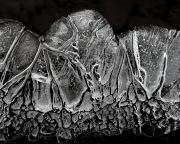 P3260518