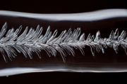 P3260571