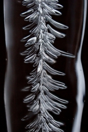 P3260584