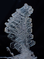 PC290214