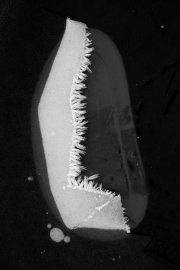 DSC0021