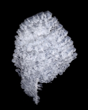 DSC0343