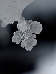 P1070053