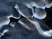 P1290492