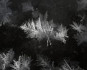 P2120108