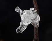 P3080166