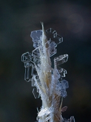PA170302