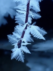 P1160152