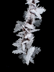 P1200682