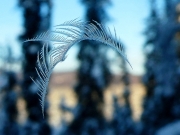 P1270938