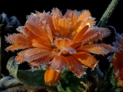 PA090131