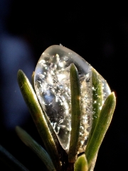 PB010265