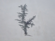 PB110455