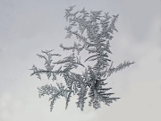 PB110509