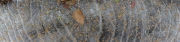 P1010538