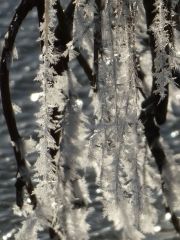 P1050198