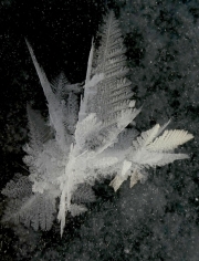 P1050625