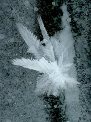 P1050685adj