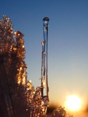 P1200350