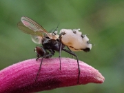 P8030246