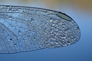 P8100129