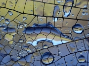 P8100151