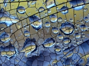 P8100155
