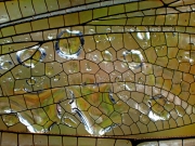 P8140564
