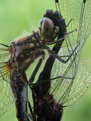 P8240551