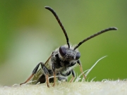 P8260249