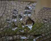 P9110054