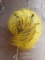 P9172048