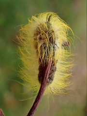 P9172153