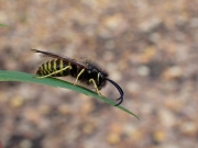 P9202942