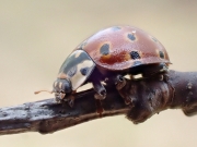 P5160407