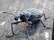 P5300399