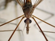 P6050324