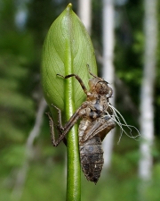 P6060549