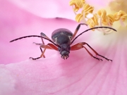P6110956