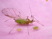 P6120086